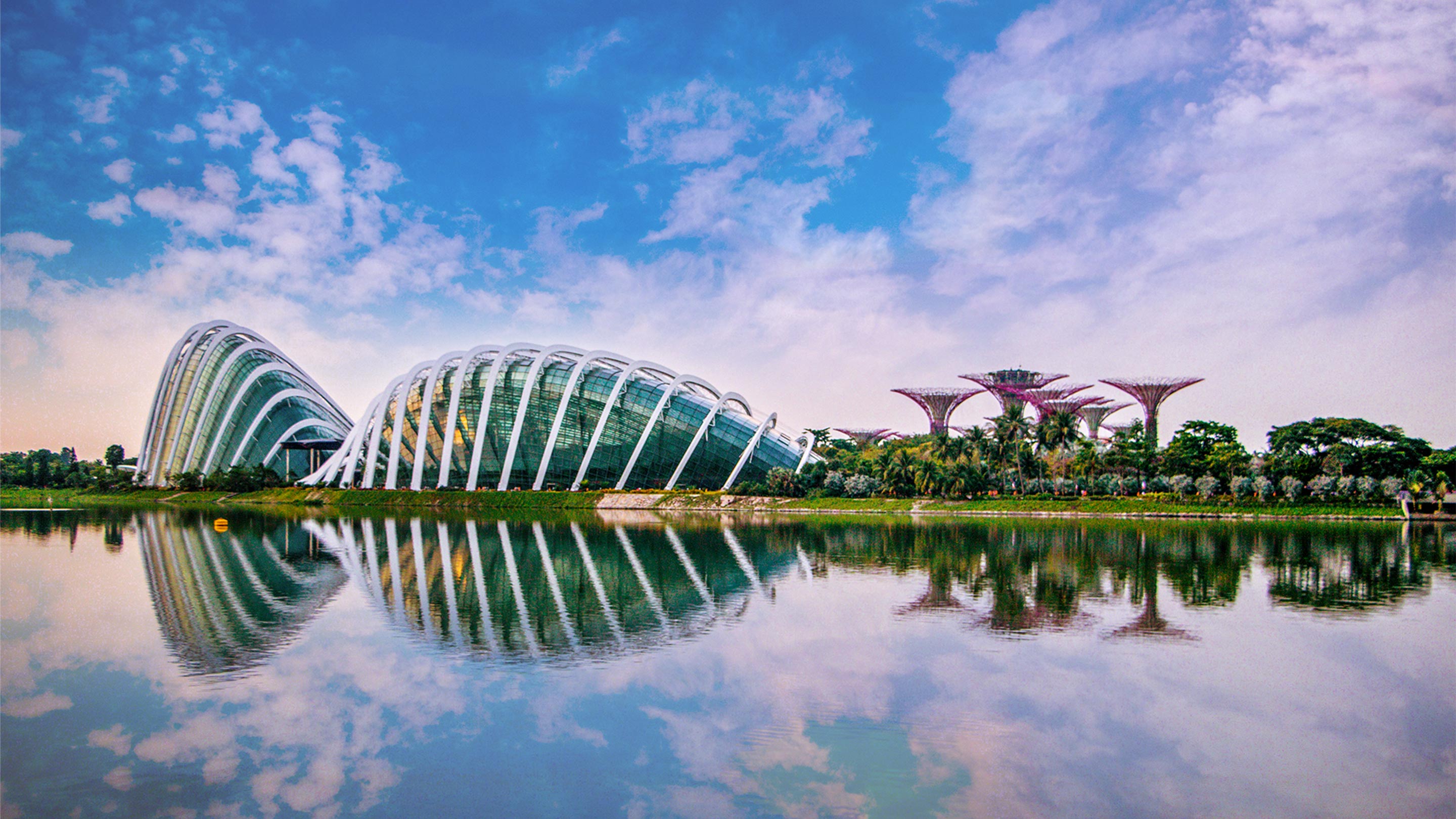 Gardens by the bay